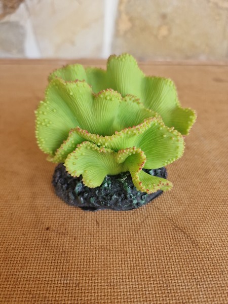 Planta decorativa de acuario adorno para peceras planta sobre roca plástica