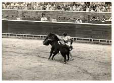 FOTO ANTIGUA BLANCO Y NEGRO AÑOS 80 TORERO ESPAÑA PEPE LUIS VAZQUEZ 176x125mm