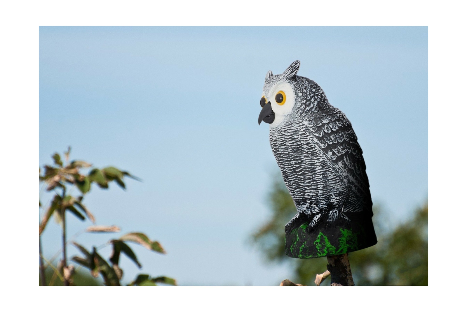 Bird Blinder Scarecrow Fake Owl Decoy Pest Repellent Garden Protector Small For Sale Online Ebay