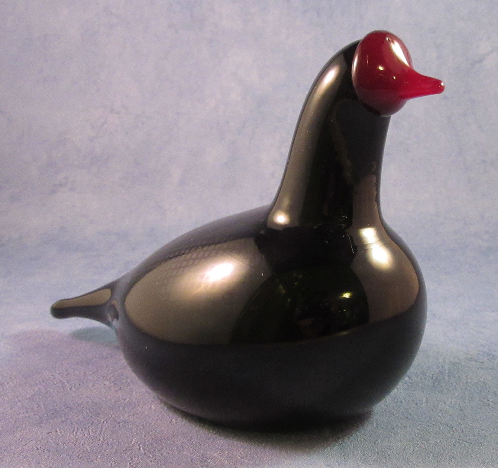 Nuutajarvi Oiva Toikka Nokikana Coot Black Glass Bird Red Beak NIB