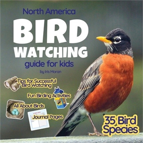 Premium Photo | Robin Bird Watching A Guide to Identifying and