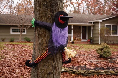 Falsch Weg Hexe Halloween Dekor Tree Hugger