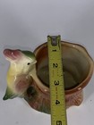 Picture 6 of 6