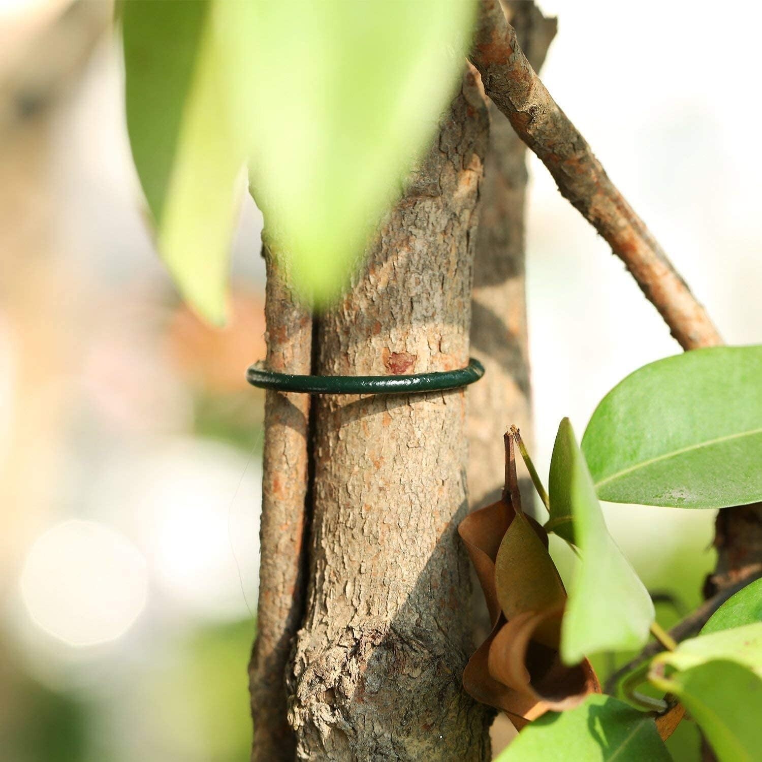 100 Garden rings Wire Plant Rings Plastic Coated Reusable Twisty DIY Garden Sup eBay