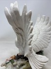 Picture 16 of 23
