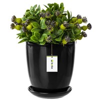 Blumentopf BlumenüBertopf Schwarz Blumenschale Mit Untersetzer Rund H=16,5Cm