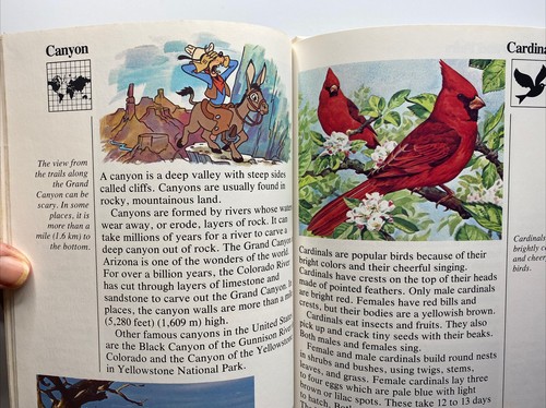 Disney Mi Primera Enciclopedia (1988) Libro Novela - Vol 4 Brachiosaurus Carlomagno - Imagen 9 de 11