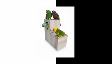 Boot Nest Box 24"x24" 12" toe Eclectus, Big Parrots.