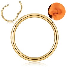 Nose Ring Septum Hoop 20G/18G/16G/14G/12G 316L Surgical Stainless Steel Hinge...