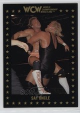 1991 Championship Marketing WCW Sid Vicious #50 gb9