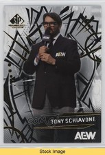 2025 SP Game Used AEW Tony Schiavone #41 READ 6kv