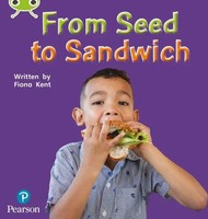 Bug Club Phonics - Phase 1 Unit 0: From Seed To Sandwich | Fiona Kent | Englisch