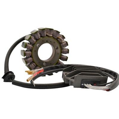 Ricks Motorsport Electric Lithium-Ionen Lade-Set Für Kawasaki Motorrad 269249