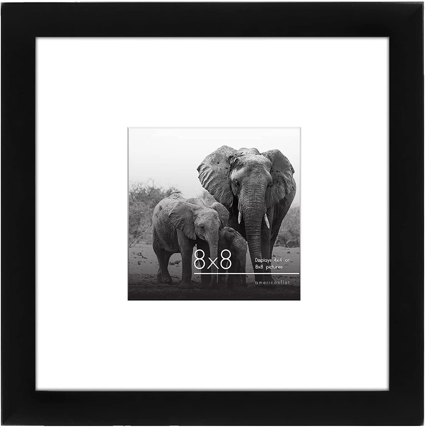 Черные оправы для картин животных и жуков