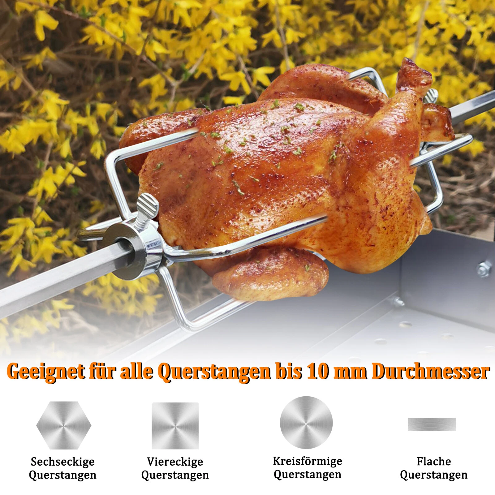 Bild 5 von 12