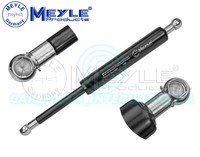 Meyle Deutschland 1X Heckklappen-StoßDäMpfer / Gasdruckfeder 040 910 0003