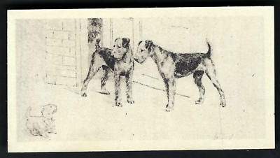 BRITISH AMERICAN (PRINTED) - RADINGS (OF DOGS) - #15 THE GUARTED GATE