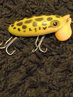 Fred Abrogast t Plastic Lip War Bug Jitterbug Fishing Lure EX