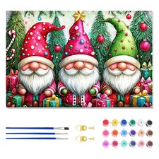 Christmas Gnomes Paint by Numbers Kits for Adults Beginner DIY Acrylic Art 16x20