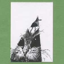 ACEO art card original pen and ink drawing pop surreal Ink Cat 43 Tim Olly