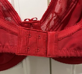 Wacoal Equestrian Red Lifted in Luxury Underwire Bra 855433 SZ 38 DD Nwt $72