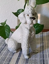 Vintage Mid Century White Ceramic Standard Poodle Sitting 6" Japan