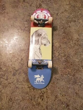 Vtg Tech Deck Future is Nature Spitfire Wheels Independent Truck 11" Skateboard