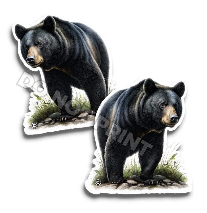 BLACK BEAR Vinyl Stickers NATURE Great Outdoors ANIMAL DECALS C35003 2 ...
