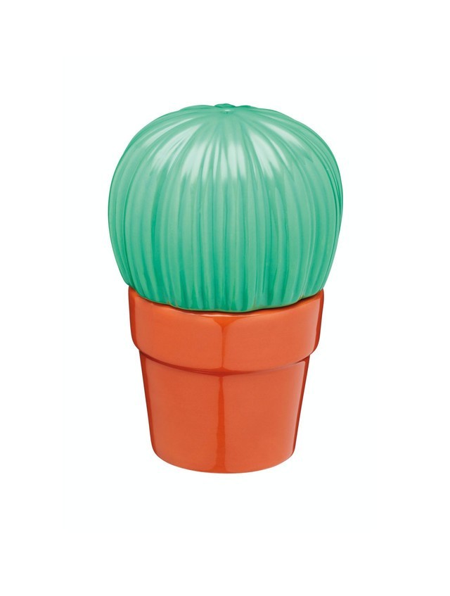 Novelty Cactus Design Salt & Pepper Shaker Set Fun Ceramic Condiment Pots Gift