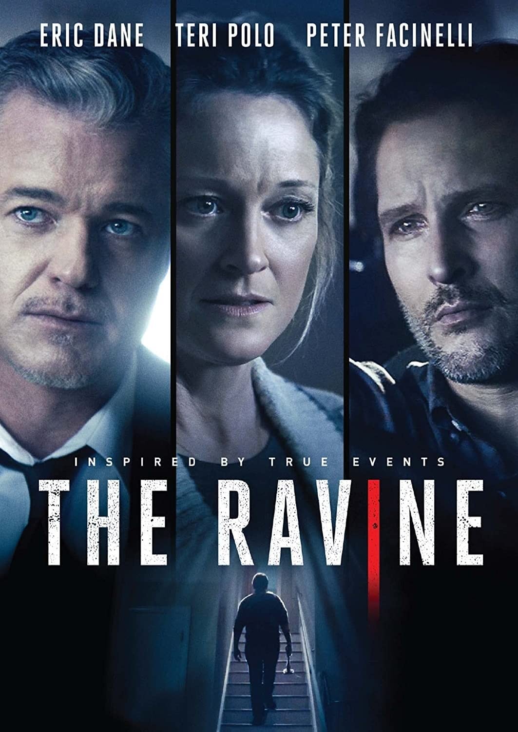 The Ravine (DVD) Eric Dane Teri Polo