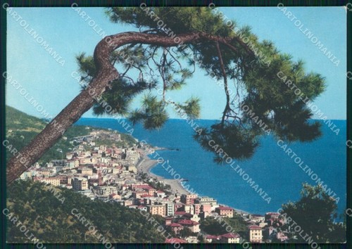 Savona città FG cartolina ZF2743
