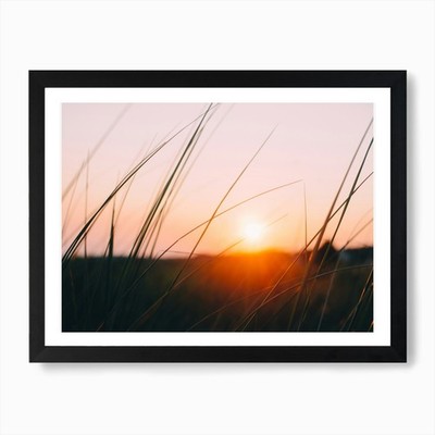 Cape Cod Meadow Kunstdruck gerahmt Wandbild Poster Leinwanddruck Bild
