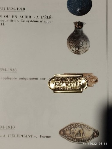 Ecusson En Laiton Avec Vis – Modèle Standard, Neuf, Haute Qualité, Sans Marque