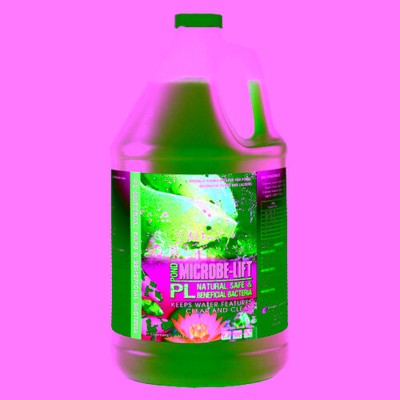 PL 1 Gallon (Treats 80;000 Gallons)  by Microbe-Lift