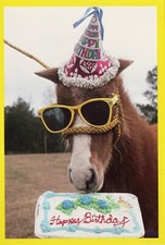 Happy Birthday Jackass Card. Photo ©1981 George Dudley The American Postcard Co.