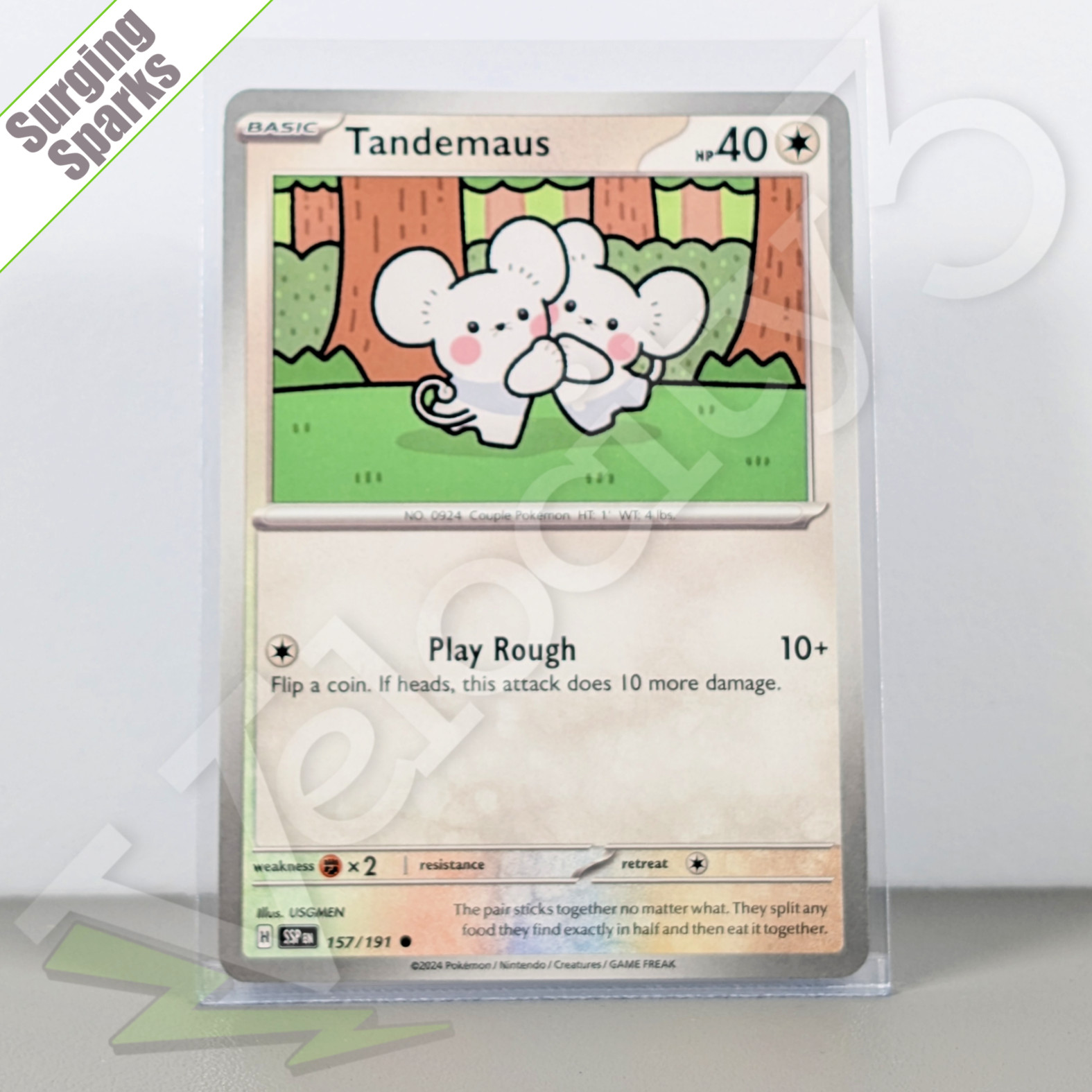 Pokemon TCG Card - Tandemaus 157/191 Common | Surging Sparks (2024) SSP | Mint