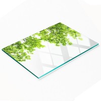 Glas-Dekoteller Zum Servieren Von Snacks, EichenbläTter 80X52 Cm