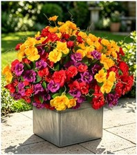 6 Bundles UV Resistant Artificial Geraniums Indoor Mix-2s 2red 2yellow 2purple 
