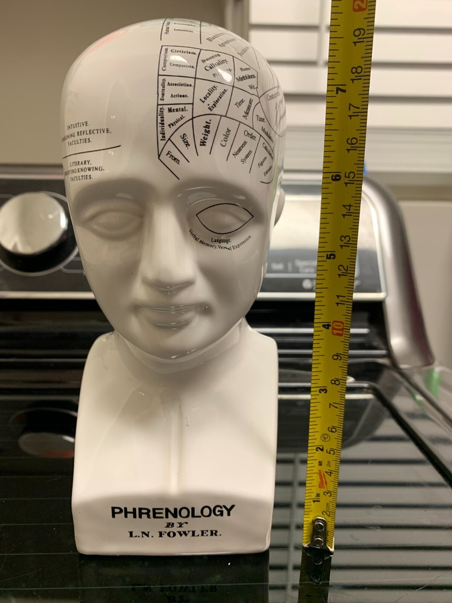 陶器製胸像 L.N FOWLER Porcelain L.N. Fowler Phrenology Scientific Psychology Bust