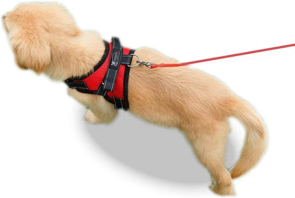 Dog Harness Small Sized Dogs - All Weather Mesh Overhead Adjustable No Pull Vest