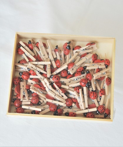 Mini Holz-Klammer Natur 70 Stück mit Käfer Clip Deko-Klammer mini Wäscheklammer
