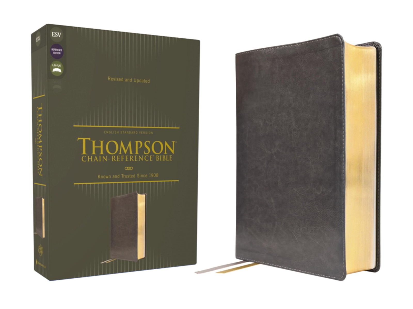 ESV, Thompson Chain-Reference Bible, Leathersoft, Gray, Red Letter - Image 3