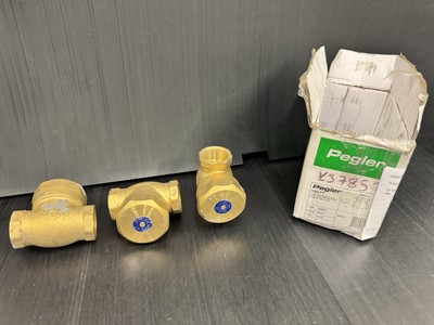 Messing Schwenk Typ Rückschlagventil Schwerlast BS5154 PN25Serie B Metallscheibe Neu X3