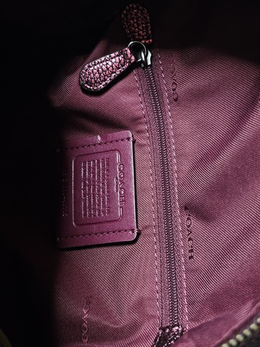 Mochila Coach Campus 23 Cuero Guijarro Metálico BERRY F40715 - Imagen 9 de 10