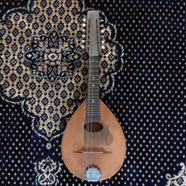 Mandolino Tedesco 12 Corde