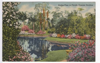 Azalea Time in Florida Cypress Gardens FLORIDA Vintage Linen Postcards