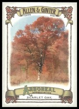 Scarlet Oak Tree 2021 Topps Allen & Ginter #AA-10 Arboreal Appreciation Insert