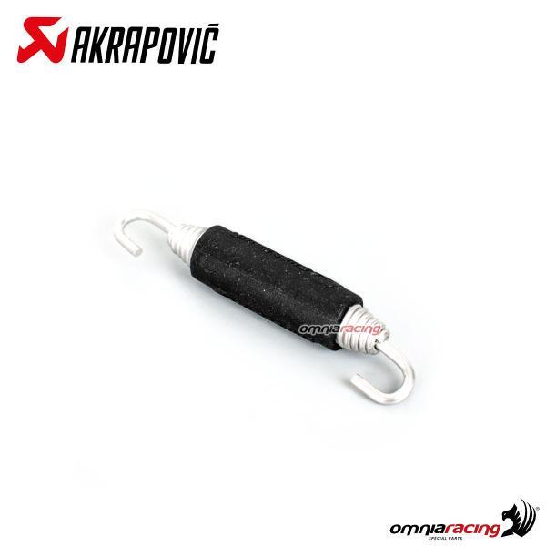 Parti di ricambio Akrapovic P-S2