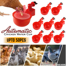 Automatic Chicken Water Cup Chicken Water Feeder Poultry Drinking Bowl Upto 50pc