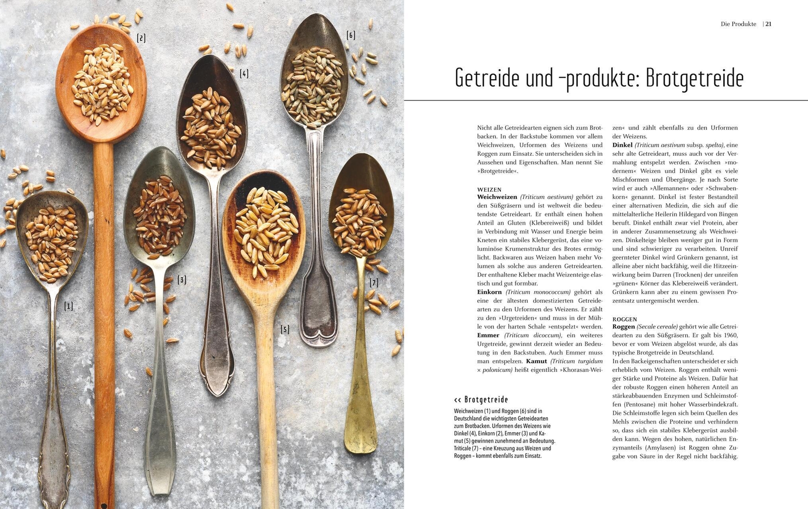 Thumbnail - Brot Mathias Neubauer